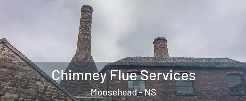 Chimney Flue Services Moosehead - NS