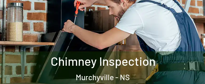 Chimney Inspection Murchyville - NS