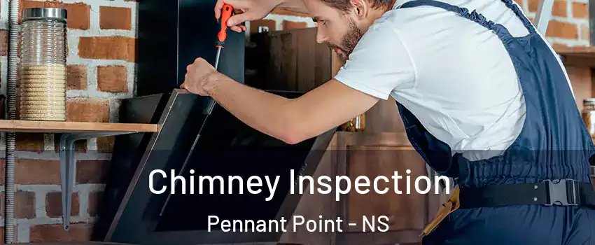 Chimney Inspection Pennant Point - NS