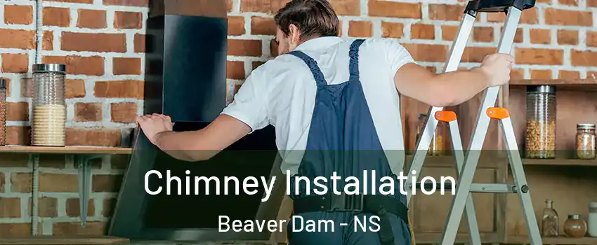 Chimney Installation Beaver Dam - NS