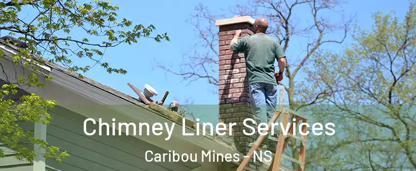 Chimney Liner Services Caribou Mines - NS