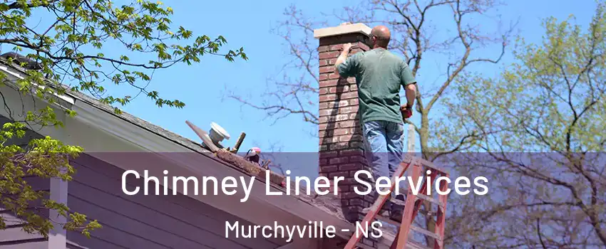 Chimney Liner Services Murchyville - NS
