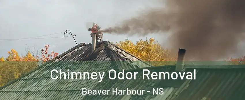 Chimney Odor Removal Beaver Harbour - NS
