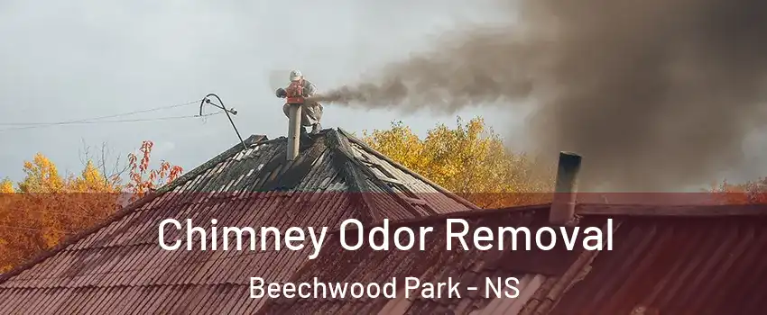 Chimney Odor Removal Beechwood Park - NS