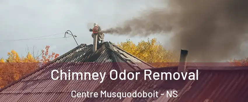 Chimney Odor Removal Centre Musquodoboit - NS