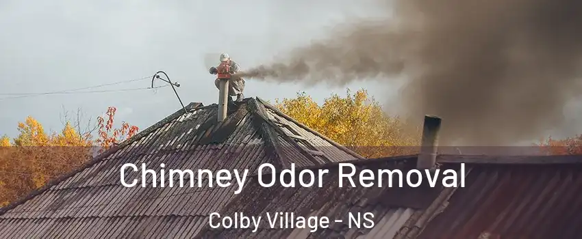 Chimney Odor Removal Colby Village - NS