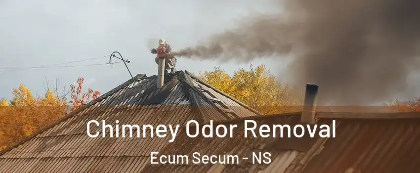 Chimney Odor Removal Ecum Secum - NS