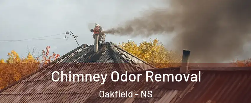 Chimney Odor Removal Oakfield - NS