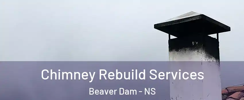 Chimney Rebuild Services Beaver Dam - NS