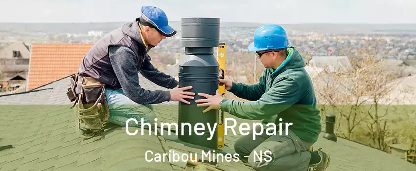 Chimney Repair Caribou Mines - NS
