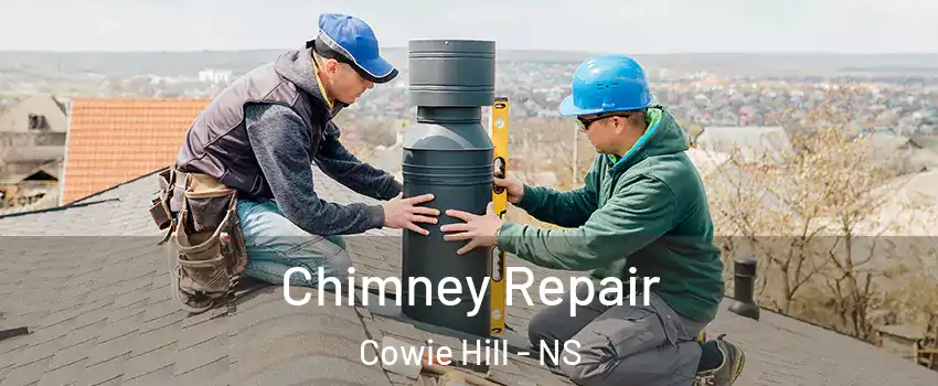 Chimney Repair Cowie Hill - NS