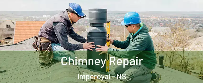 Chimney Repair Imperoyal - NS
