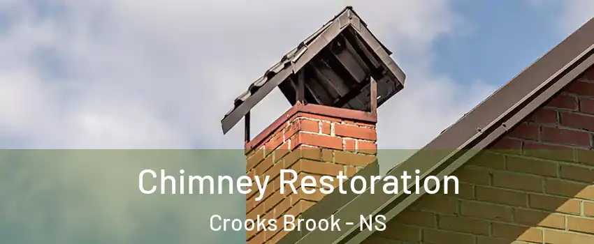 Chimney Restoration Crooks Brook - NS