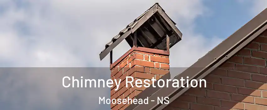 Chimney Restoration Moosehead - NS