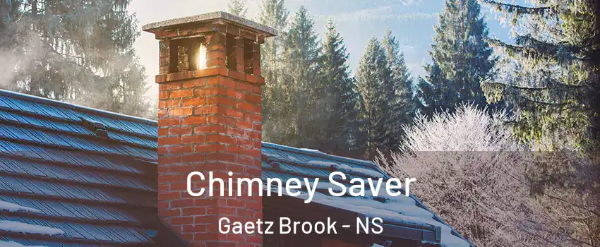 Chimney Saver Gaetz Brook - NS