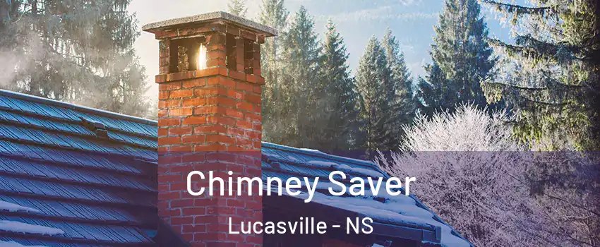 Chimney Saver Lucasville - NS