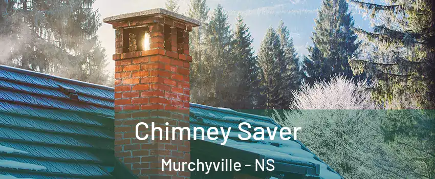 Chimney Saver Murchyville - NS