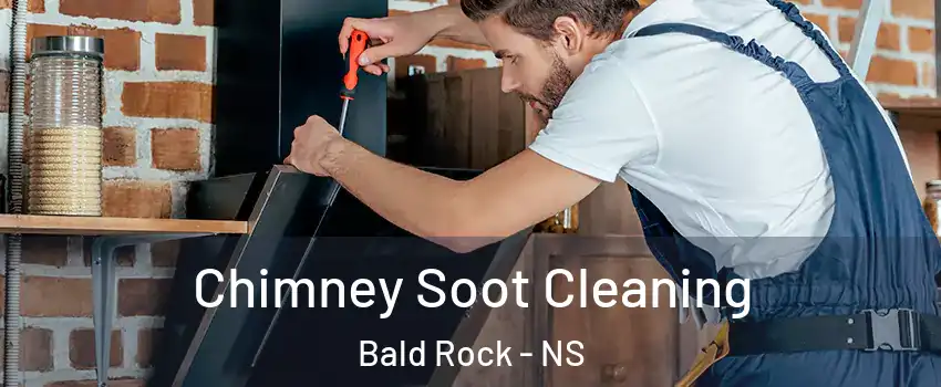Chimney Soot Cleaning Bald Rock - NS