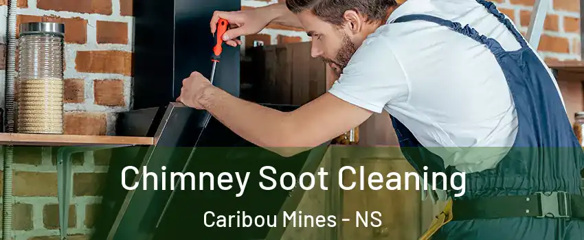 Chimney Soot Cleaning Caribou Mines - NS
