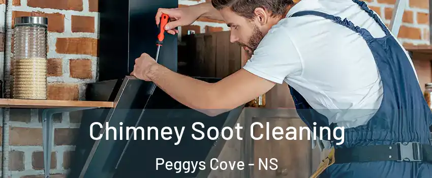 Chimney Soot Cleaning Peggys Cove - NS