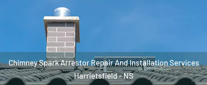 Chimney Spark Arrestor Repair And Installation Services Harrietsfield - NS