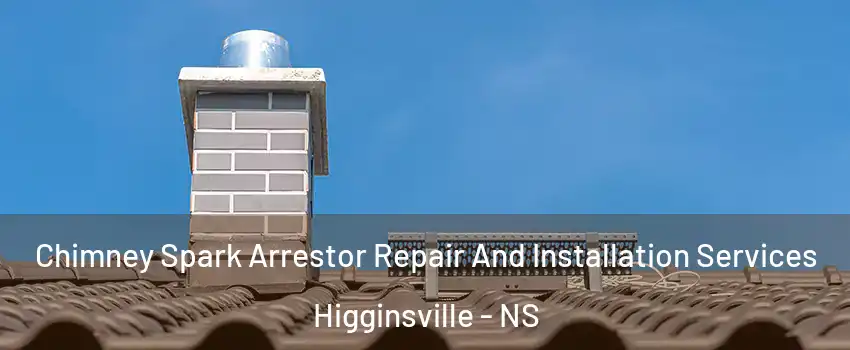 Chimney Spark Arrestor Repair And Installation Services Higginsville - NS