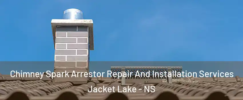 Chimney Spark Arrestor Repair And Installation Services Jacket Lake - NS