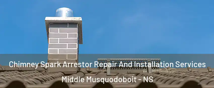Chimney Spark Arrestor Repair And Installation Services Middle Musquodoboit - NS