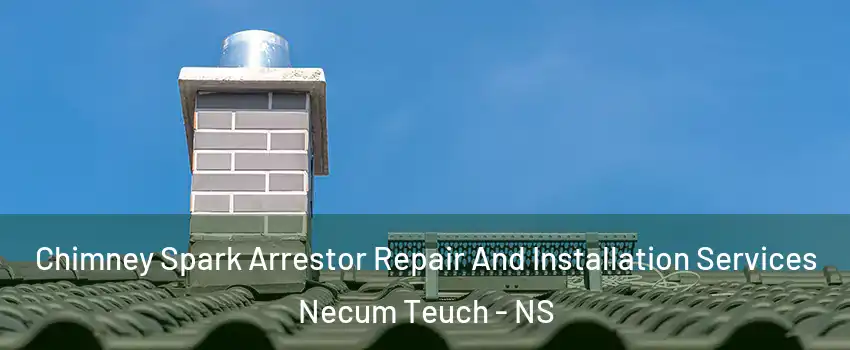 Chimney Spark Arrestor Repair And Installation Services Necum Teuch - NS