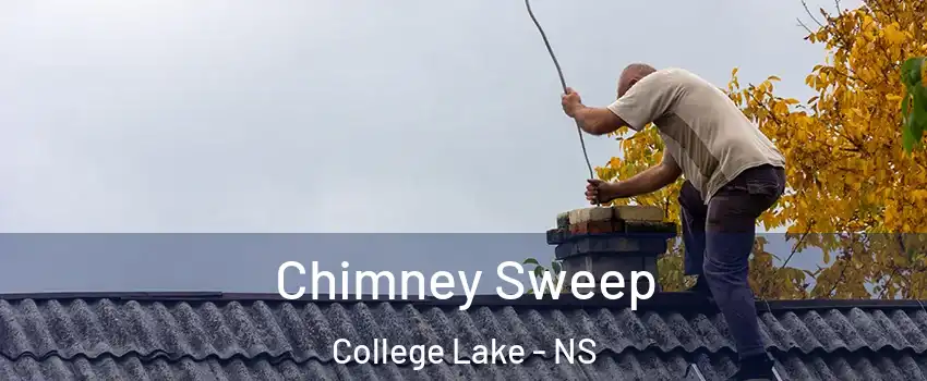Chimney Sweep College Lake - NS