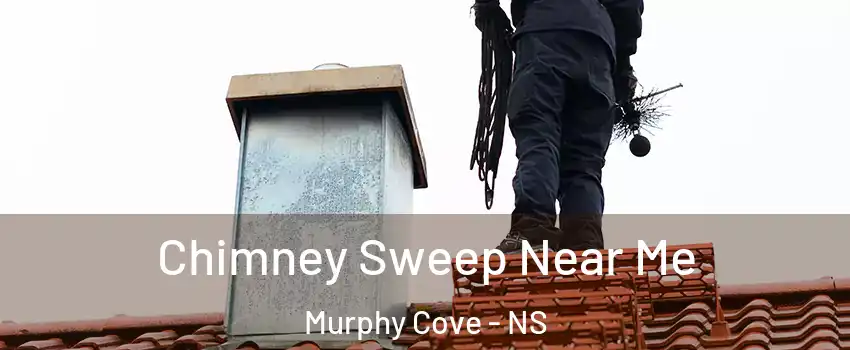 Chimney Sweep Near Me Murphy Cove - NS