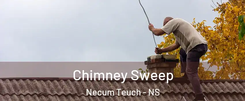 Chimney Sweep Necum Teuch - NS