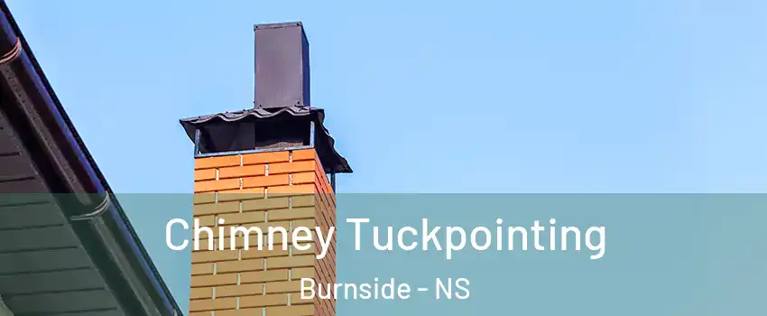 Chimney Tuckpointing Burnside - NS
