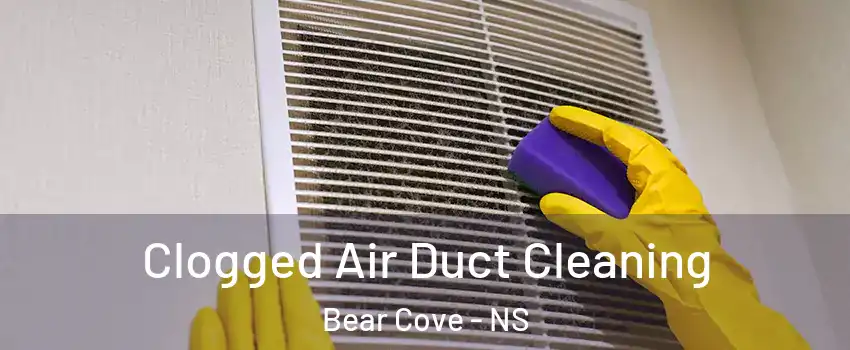 Clogged Air Duct Cleaning Bear Cove - NS