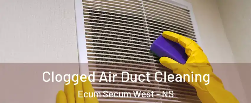 Clogged Air Duct Cleaning Ecum Secum West - NS