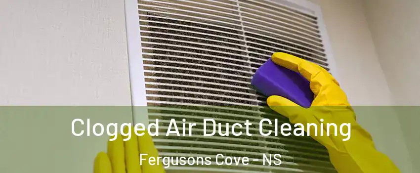 Clogged Air Duct Cleaning Fergusons Cove - NS