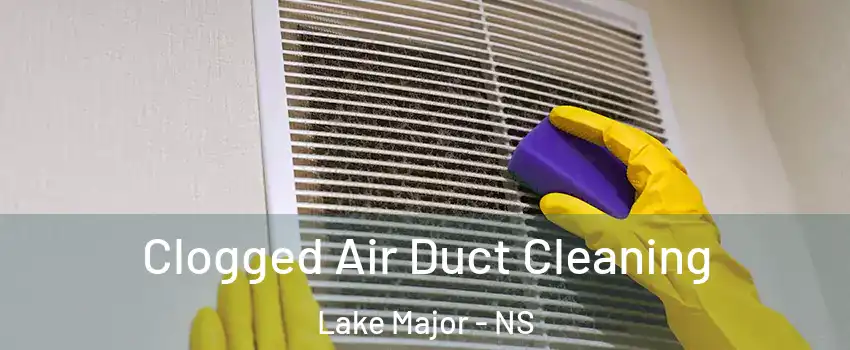 Clogged Air Duct Cleaning Lake Major - NS