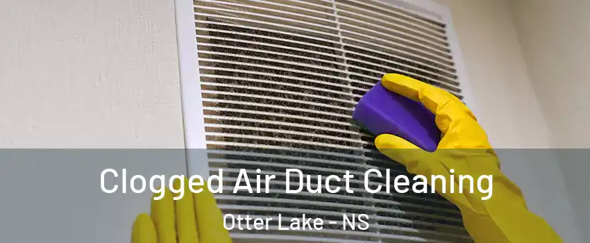 Clogged Air Duct Cleaning Otter Lake - NS