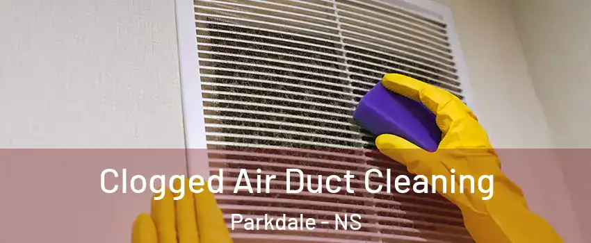 Clogged Air Duct Cleaning Parkdale - NS
