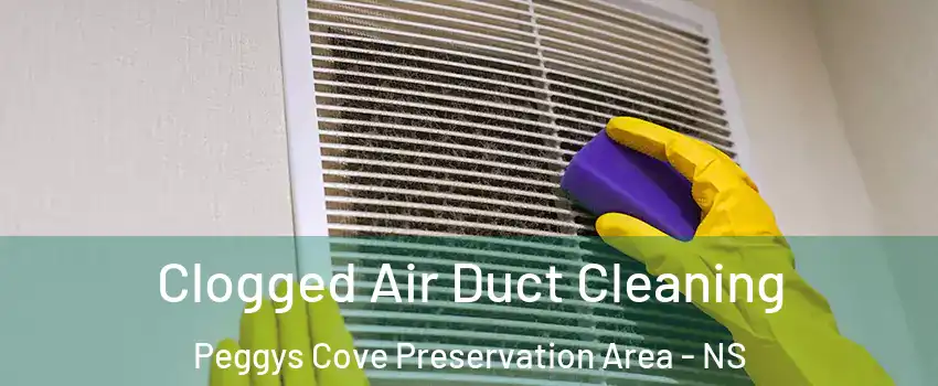 Clogged Air Duct Cleaning Peggys Cove Preservation Area - NS