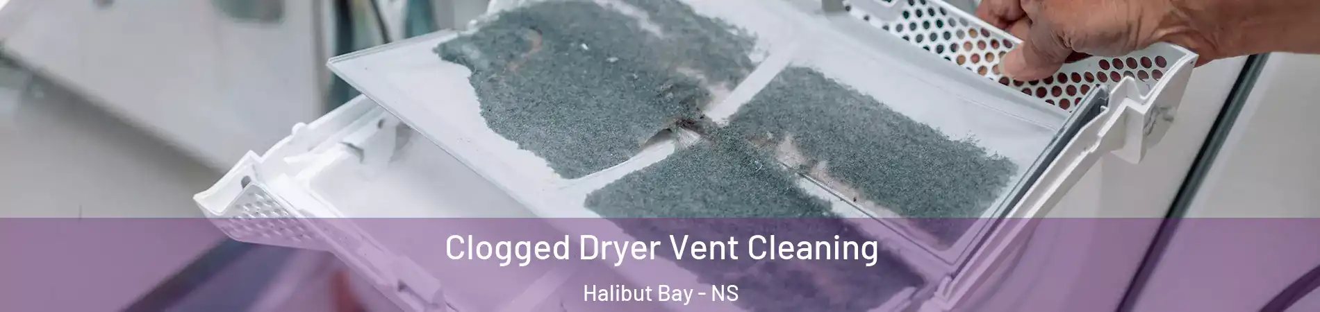 Clogged Dryer Vent Cleaning Halibut Bay - NS