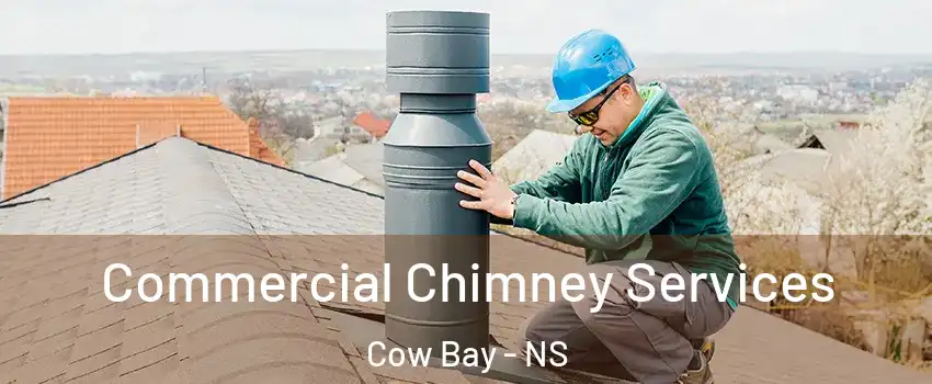 Commercial Chimney Services Cow Bay - NS