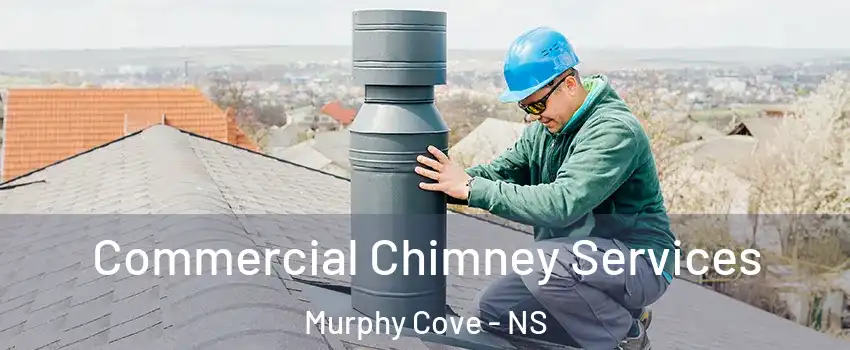 Commercial Chimney Services Murphy Cove - NS