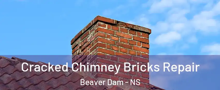Cracked Chimney Bricks Repair Beaver Dam - NS