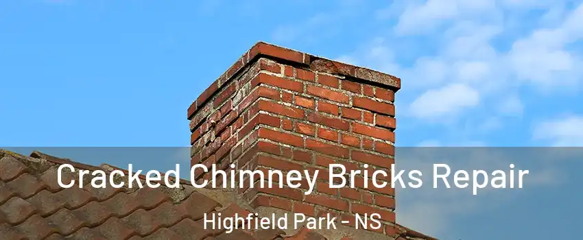 Cracked Chimney Bricks Repair Highfield Park - NS