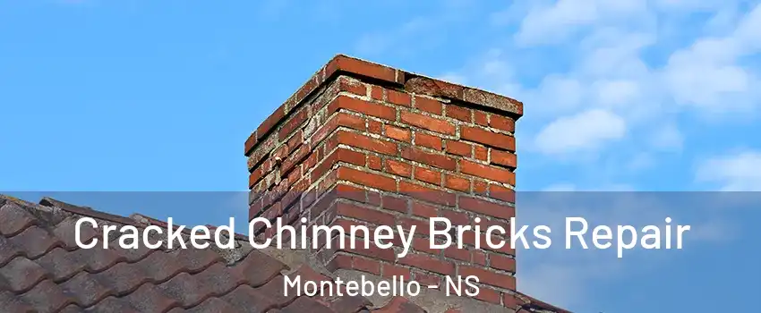 Cracked Chimney Bricks Repair Montebello - NS