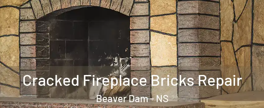 Cracked Fireplace Bricks Repair Beaver Dam - NS