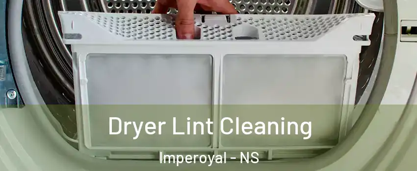 Dryer Lint Cleaning Imperoyal - NS