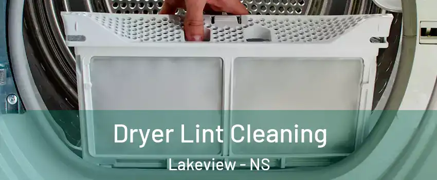 Dryer Lint Cleaning Lakeview - NS