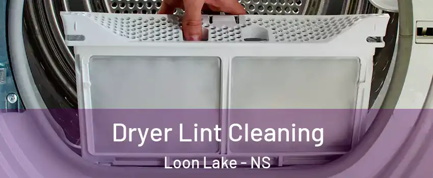 Dryer Lint Cleaning Loon Lake - NS